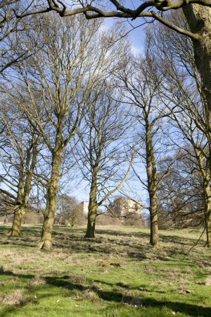 Hardwick Hall 15 sm.jpg